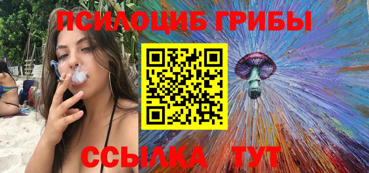Лыткарино  Псилоцибиновые грибы MAGIC MUSHROOMS  Вход с VPN 