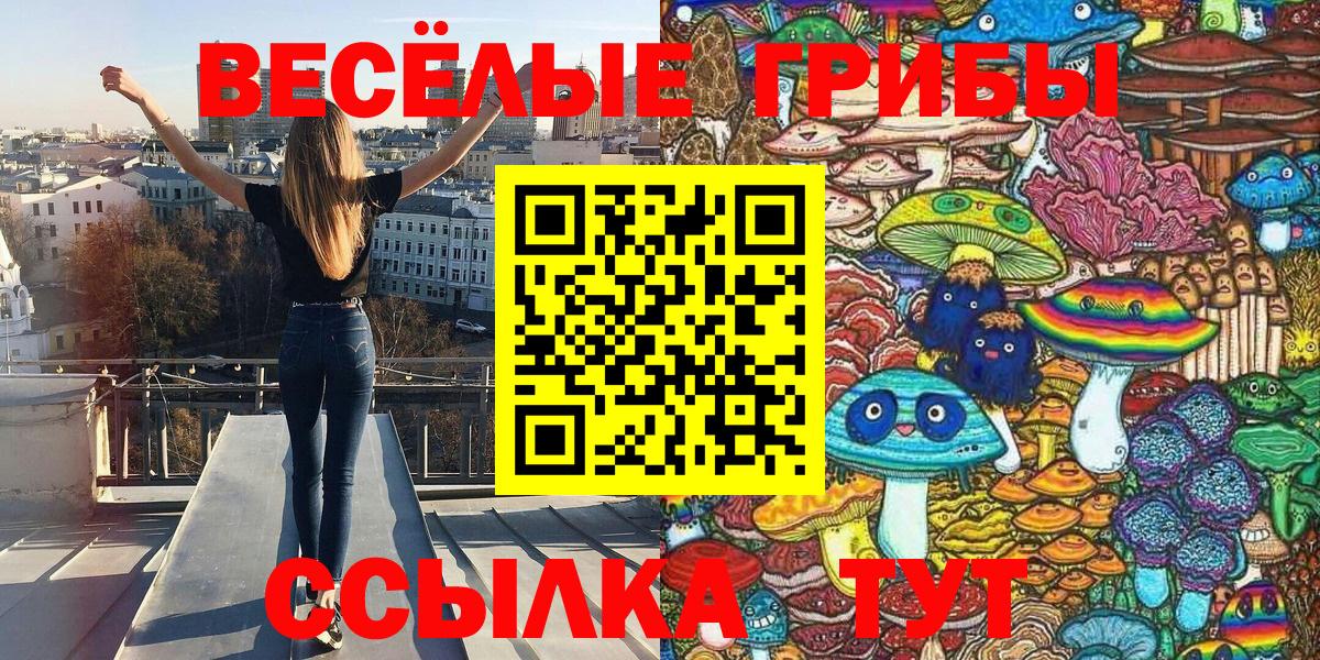 Галлюциногенные грибы Magic Shrooms Лыткарино