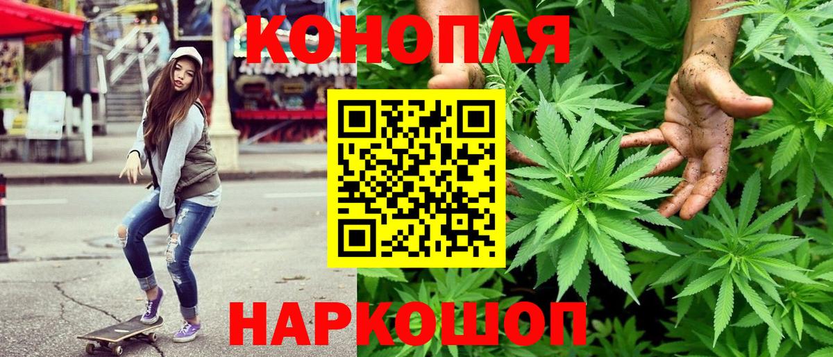Каннабис конопля Лыткарино